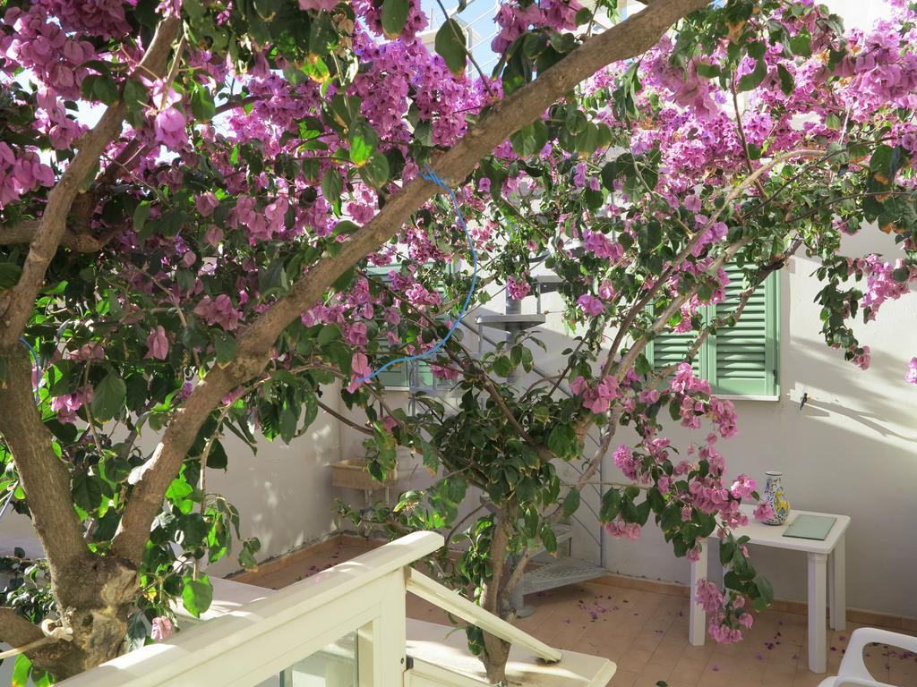 Casamare Hotel Сан Винченцо Стая снимка